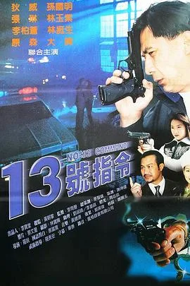 13指令