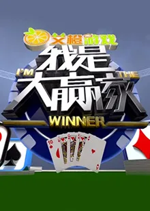 我是大赢家2014