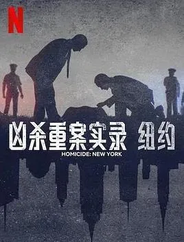凶杀重案实录:纽约