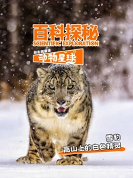 科探秘动物星球:高山上的白色精灵雪豹