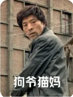 狗爷猫妈