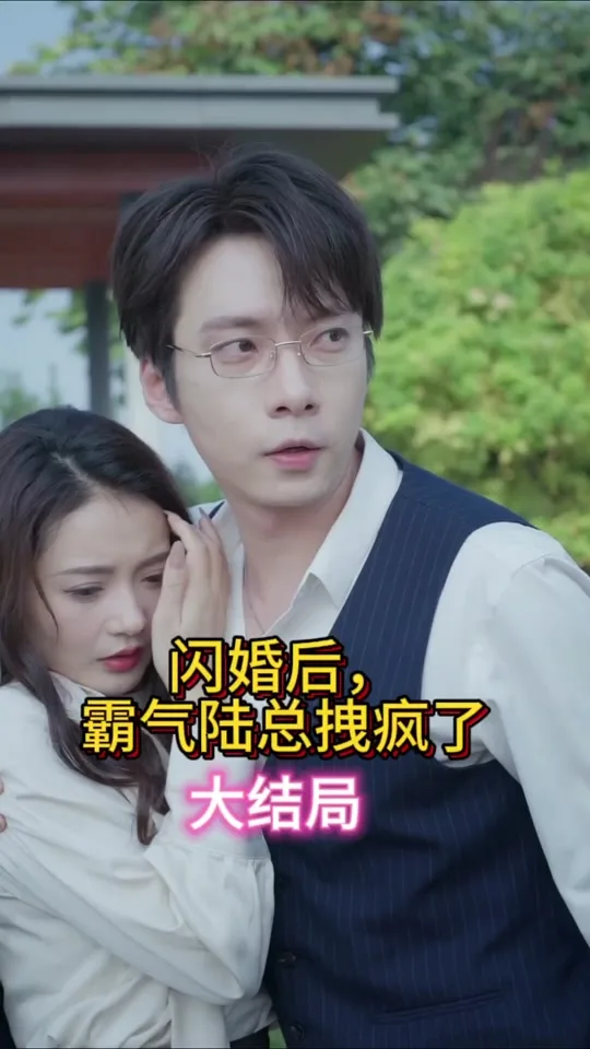 闪婚后,霸气陆总拽疯了
